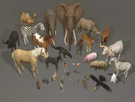 Animal pack deluxe v2