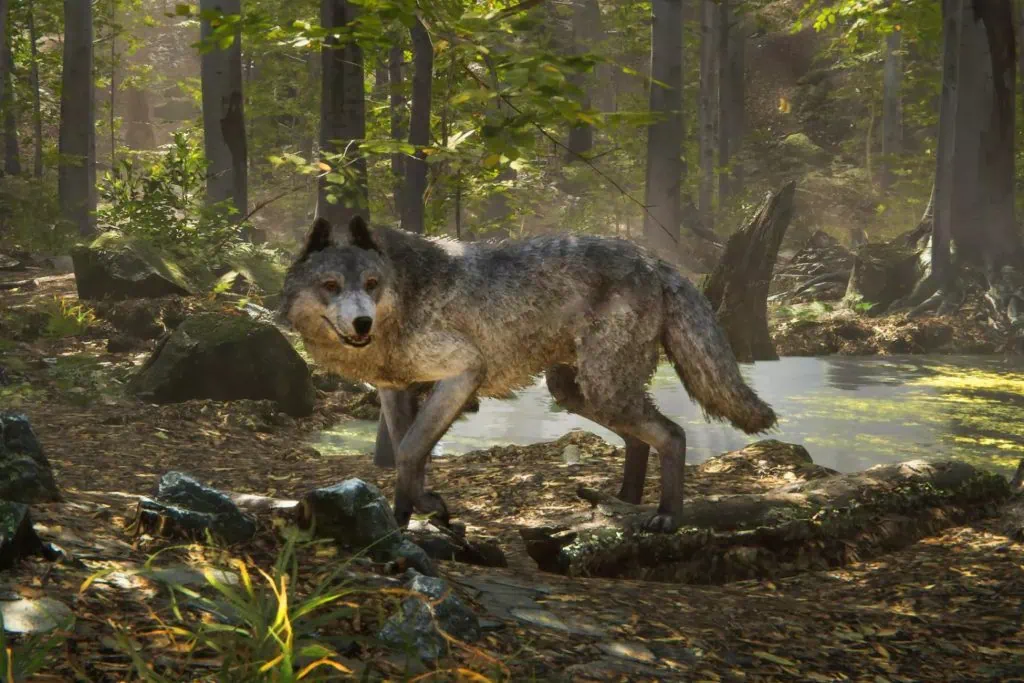 Poly Art - Realistic Wolf