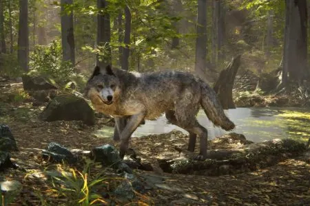 Poly Art - Realistic Wolf